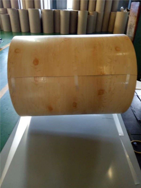 Puunsyistä esimaalattu ALUZINC-teräsrullapinnoitettu galvanoitu teräskela kattolevyyn esimaalattua terästä